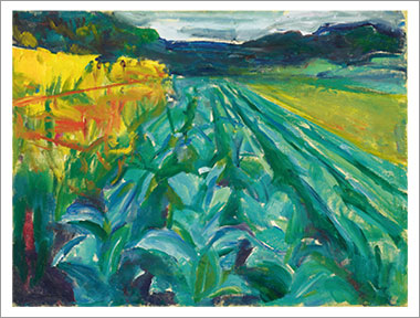 aaa